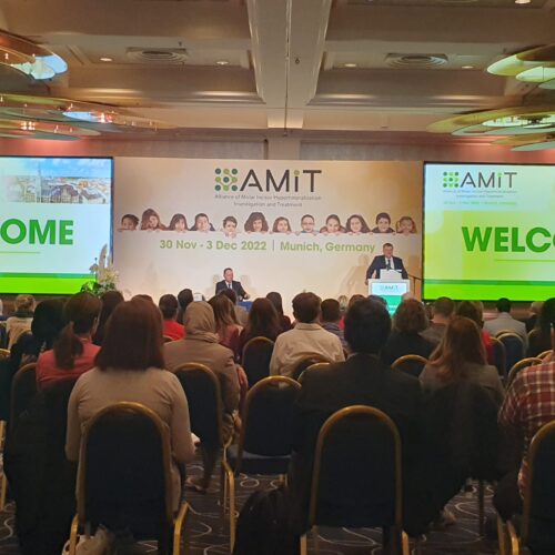 WhatsApp Image 2022-12-21 at 13.58.45